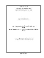 Các tội phạm về môi trường ở việt nam tình hình, nguyên nhân và giải pháp phòng ngừa