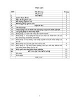 Kinh nghiệm tổ chức và chỉ đạo hoạt động câu lạc bộ trong trường tiểu học  