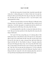 Đánh giá kết quả điều trị gẫy đầu dưới xương chày bằng  nẹp vít khóa  tại bệnh viện hữu nghị việt đức 