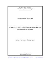 Nghiên cứu nhân giống in vitro cây núc nác (Oroxylum indicum (L.) Kurz) (Luận văn thạc sĩ)