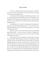 NGHIÊN cứu đặc điểm GIẢI PHẪU BỆNH và hóa mô MIỄN DỊCH u sắc bào TUYẾN THƯỢNG THẬN 