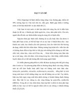 Đặc điểm lâm sàng, yếu tố liên quan và hiệu quả điều trị bệnh chốc bằng cefixim kết hợp với fucidin 