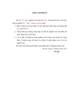 Nghiên cứu đặc điểm lâm sàng đối chiếu với hình ảnh CT Scan và mô bệnh học của cholesteatoma xương thái dương