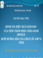 ĐÁNH GIÁ HIỆU QUẢ GIẢM ĐAU của TIÊM THẨM PHÂN THẦN KINH ARNOLD dưới HƯỚNG dẫn của CHỤP cắt lớp VI TÍNH 