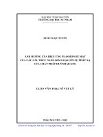 Ảnh hưởng của hiệu ứng Plasmon bề mặt của các cấu trúc nano kim loại lên sự phát xạ của chất phát huỳnh quang (Luận văn thạc sĩ)