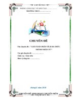 chuyên đề: Giải Toán Phân Tích Đa Thức Thành Nhân Tử