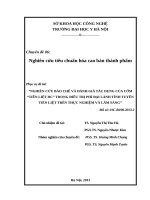 NGHIÊN CỨU BÀO CHẾ VÀ ĐÁNH GIÁ TÁC DỤNG CỦA CỐM “TIỀN LIỆT HC” TRONG ĐIỀU TRỊ PHÌ ĐẠI LÀNH TÍNH TUYẾN TIỀN LIỆT TRÊN THỰC NGHIỆM VÀ LÂM SÀNG