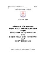 ĐÁNH GIÁ tổn THƯƠNG ĐỘNG MẠCH VÀNH KHÔNG THỦ PHẠM BẰNG PHÂN số dự TRỮ VÀNH (FFR) ở BỆNH NHÂN NHỒI máu cơ TIM cấp có ST CHÊNH lên 