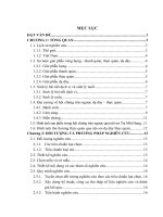 NGHIÊN CỨU CÁC HÌNH THÁI TỔN THƯƠNG THANH QUẢN VÀ TÌM HIỂU MỘT SỐ YẾU TỐ LIÊN QUAN Ở NHỮNG BỆNH NHÂN CÓ GÂY MÊ NỘI KHÍ QUẢN ĐỂ PHẪU THUẬT