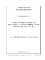 Giải pháp tạo động lực làm việc cho giáo viên các trường tiểu học huyện Trùng Khánh, tỉnh Cao Bằng (Luận văn thạc sĩ)