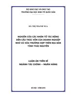 Nghiên cứu các nhân tố tác động đến cấu trúc vốn của doanh nghiệp nhỏ và vừa-trường hợp trên địa bàn tỉnh Thái Nguyên