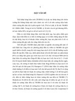Nghiên cứu chẩn đoán và ứng dụng phẫu thuật tạo hình ổ cối có ghép xương đồng loại trong điều trị trật khớp háng bẩm sinh ở trẻ nhỏ tại bệnh viện nhi trung ương 