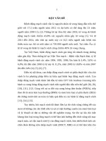 Đánh giá kết quả can thiệp động mạch vành bằng stent tự tiêu absorb (BVS) 