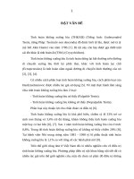 ĐÁNH GIÁ kết QUẢ điều TRỊ PHẪU THUẬT TINH HOÀN KHÔNG XUỐNG bìu ở TRẺ EM tại BỆNH VIỆN VIỆT đức 