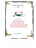 TUYỂN TẬP GIÁO ÁN MẪU LỚP 5 TỪ TUẦN 2 ĐẾN TUẦN 4 SOẠN THEO HƯỚNG PHÁT TRIỂN  NĂNG LỰC HỌC SINH TIỂU HỌC.