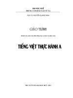 tieng viet thuc hanh pgs nguyễn quang ninh phần 1 (1)