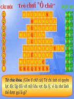 ô chữ chủ quyền biển đảo