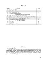 Một số kinh nghiệm đưa tích hợp liên môn và giáo dục bảo vệ môi trường vào giảng dạy môn địa lý tại trường THCS phạm văn hinh 
