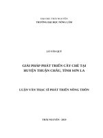 Giải pháp phát triển cây chè tại huyện thuận châu, tỉnh sơn la 