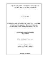 Nghiên cứu thu nhận enzym endolysin tái tổ hợp lyssa và đánh giá hoạt tính kháng khuẩn staphylococcus aureus trong bảo quản sữa 