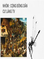 dragonfly nature powerpoint templates widescreen (1)