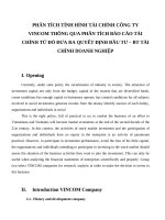 Phân tích tính hình tài chính công ty vincom thông qua phân tích báo cáo tài chính từ đó đưa ra quyết định đầu tư – BT tài chính doanh nghiệp e 