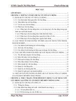 Chuyên đề thực tập - Một số giải pháp nhằm hoàn thiện công tác sử dụng vốn lưu động tại công ty cổ phần chế biến thực phẩm Thăng Long