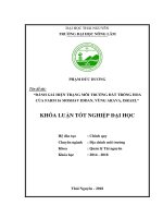 Đánh giá hiện trạng môi trường đất trồng hoa của farm 16 moshav iddan, vùng arava, israel 