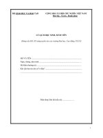 mau so yeu ly lich hoc sinh sinh vien