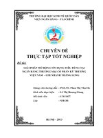 Chuyên đề tốt nghiệp - Giải pháp mở rộng tín dụng tiêu dùng tại Ngân hàng thương mại cổ phần kỹ thương Việt Nam - chi nhánh Thăng Long