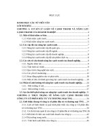 Luận văn thạc sỹ - Giải pháp nâng cao năng lực cạnh tranh của Công ty cổ phần đầu tư và thương mại TNG