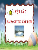 Bài giảng Vật lý 7 bài 8: Gương cầu lõm