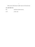 tổng quan chẩn đoán và điều tri K ruột non