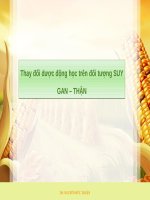 Thay đổi dược động học trên BN suy giảm chức năng gan thận