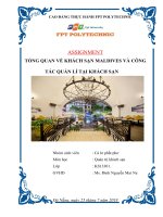 TỔNG QUAN VỀ KHÁCH SẠN MALDIVES VÀ CÔNG TÁC QUẢN LÍ TẠI KHÁCH SẠN