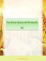 Thay đổi dược động học trên đối tượng đặc biệt