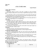 Câu cá mùa thu  Ngữ văn 11