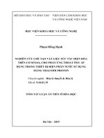 Nghiên cứu chế tạo vật liệu xúc tác điện hóa trên cơ sở iro2 cho phản ứng thoát ôxy áp dụng cho thiết bị phân nước sử dụng màng trao dổi proton tt