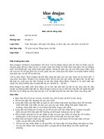 Job description   project x   blue dragon   social worker july 2018