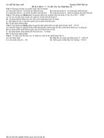 6,7,8  mỹ, tây âu, nhật bản (1)