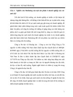 Tiểu luận môn Kỹ thuật Marketing