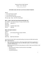 Hợp đồng dịch vụ Content Chi