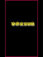 Tiet 41 tập hợp các số NGUYÊN