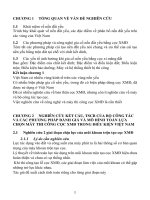 NGHIÊN CỨU CÔNG NGHỆ VÀ THIẾT BỊ HỆ THỐNG PHUN TRỘN TẠO CỌC XI MĂNG ĐẤT, XÁC ĐỊNH KẾT CẤU VÀ CÁC THÔNG SỐ CƠ BẢN CỦA BỘ CÔNG TÁC PHÙ HỢP ĐIỀU KIỆN VIỆT NAM