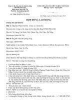 Hợp đồng lao động huỳnh quang sang