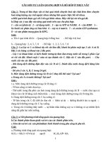 Câu hỏi tự luận sinh 11  quang hợp và hô hấp ở thực vật   có lời giải