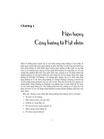 Vật lý học cộng hưởng từ