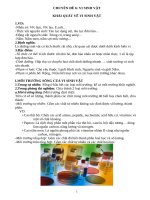 Chuyên đề 6  sinh học 10   VI SINH vật