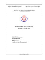 báo cáo thực tập cơ sở ngành kinh tế vận tải biển