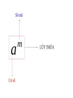 Toán 7 Tiet 8 LUYỆN tập lũy THỪA của một số hữu tỉ